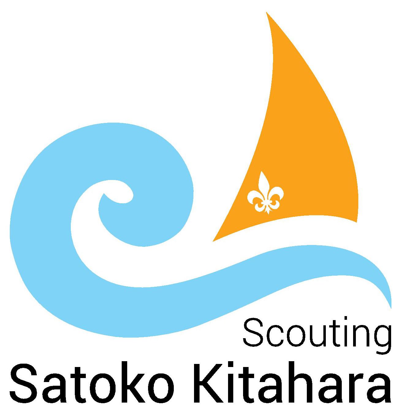 Logo Sat Kit