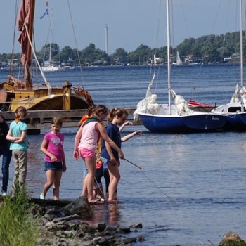 de Welpen ontdekken het Veerse meer