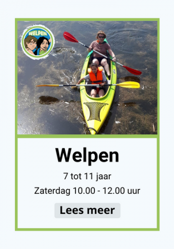 Welpen